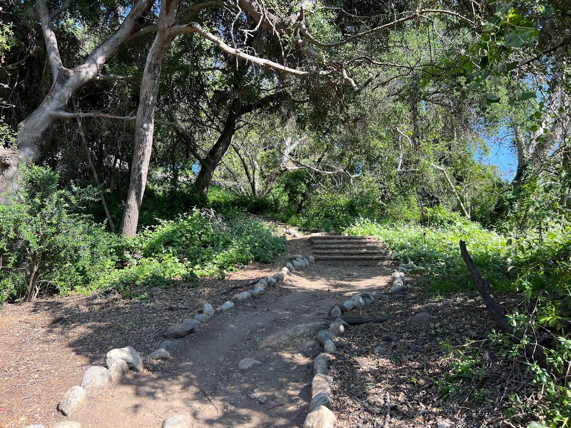 a photo of a path in the Arroyo Seco